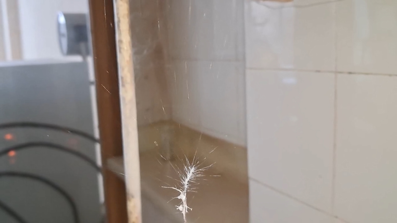 Electrospinning: Solution of Polystyrene in Methylene Chloride